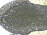 image of grave number 762941